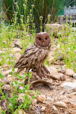 Show full view: Hi-Line Gift 13-in Driftwood Barn Owl On Stump Statue Outdoor Decor slide 8 of 9