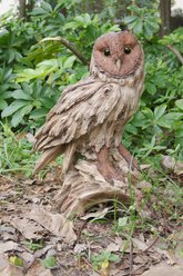 Hi-Line Gift 13-in Driftwood Barn Owl On Stump Statue Outdoor Decor