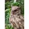 Show in main carousel: Hi-Line Gift 13.7-in Driftwood Eagle Owl On Stump Statue Outdoor Decor slide 6 of 9