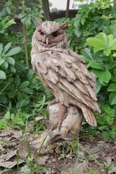Hi-Line Gift 13.7-in Driftwood Eagle Owl On Stump Statue Outdoor Decor