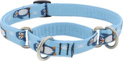LupinePet MicroBatch Limited Edition Adjustable Slip-On Martingale Training Dog Collar, Penguin Party, Medium: 14 to 20-in neck, 3/4-in wide slide 1 of 6