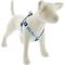 Show in main carousel: LupinePet MicroBatch Limited Edition Adjustable Step In Dog Harness, Penguin Party, Medium/Large: 20 to 30-in chest girth, 3/4-in wide slide 1 of 6