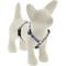Show in main carousel: LupinePet MicroBatch Limited Edition Adjustable Dog Harness, Fair Isle, Small: 12 to 20-in chest girth, 1/2-in wide slide 1 of 7