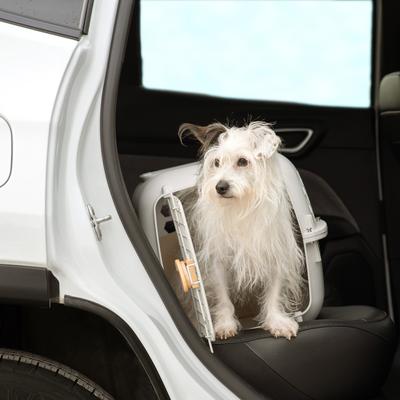 Show full view: SportPet Designs Dog & Cat Travel Kennel, Cream & Gold, 24-in slide 7 of 10