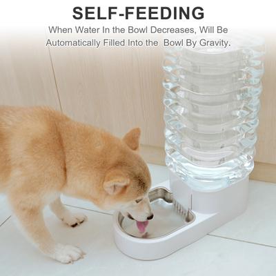 Show full view: Modign Stainless Steel Dog & Cat Water Dispenser, 12-l slide 9 of 10