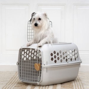 SportPet Designs Dog & Cat Travel Kennel, Cream & Gold, 24-in