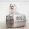 Show in main carousel: SportPet Designs Dog & Cat Travel Kennel, Cream & Gold, 24-in slide 6 of 10