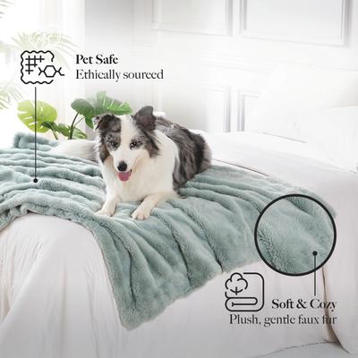 Show full view: MODERN THREADS Water-Resistant Faux Rabbit Fur Ultra-Soft Plush Couch Blanket for Dogs & Cats, Light Blue, Medium slide 3 of 7