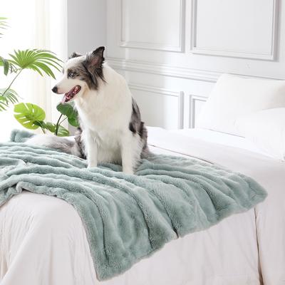 Show full view: MODERN THREADS Water-Resistant Faux Rabbit Fur Ultra-Soft Plush Couch Blanket for Dogs & Cats, Light Blue, Medium slide 4 of 7