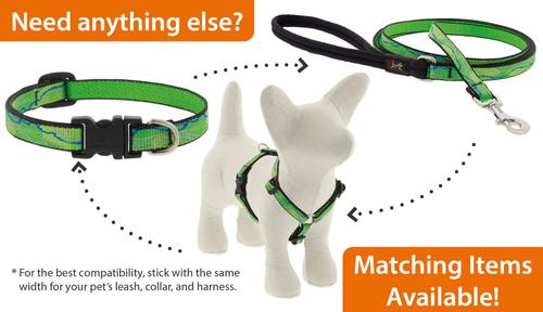 Show full view: LupinePet Nature Inspired Original Design Padded Handle Nylon Small Dog & Cat Leash, Intervale, Regular: 4-ft long, 1/2-in wide slide 4 of 5