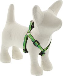 LupinePet Nature Inspired Original Design Step In Dog Harness, Intervale, X-Small: 10 to 13-in chest