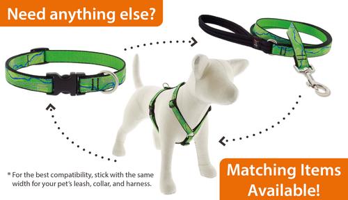 Show full view: LupinePet Nature Inspired Original Design Adjustable Nylon Dog Collar, Intervale, Small: 9 to 14-in neck, 3/4-in wide slide 6 of 7