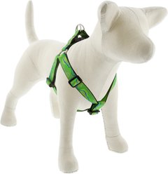 LupinePet Nature Inspired Original Design Step In Dog Harness, Intervale, Large: 24 to 38-in chest