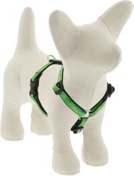 LupinePet Nature Inspired Original Design Adjustable Dog Harness, Intervale, X-Small: 9 to 14-in chest