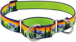 LupinePet Nature Inspired Original Design Slip-on Adjustable Nylon Martingale Training Dog Collar, High Country, Large: 15 to 22-in neck, 1-in wide