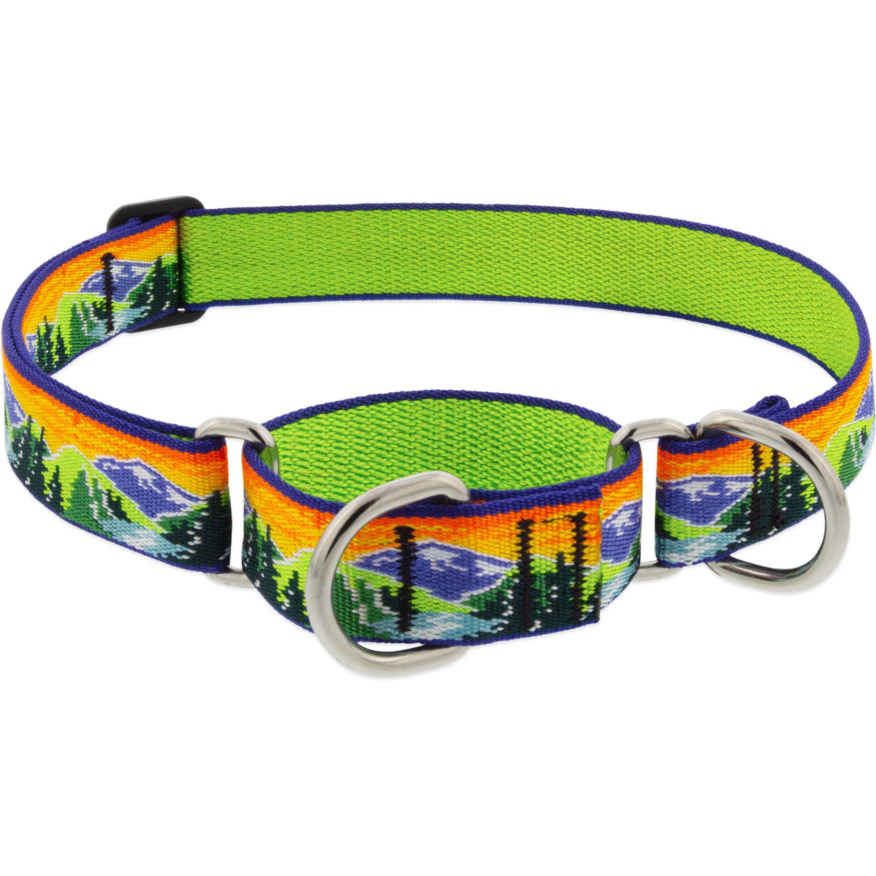 LupinePet Nature Inspired Original Design Slip-on Adjustable Nylon Martingale Training Dog Collar, High Country, Large: 15 to 22-in neck, 1-in wide