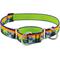 Show in main carousel: LupinePet Nature Inspired Original Design Slip-on Adjustable Nylon Martingale Training Dog Collar, High Country, Large: 15 to 22-in neck, 1-in wide slide 1 of 6