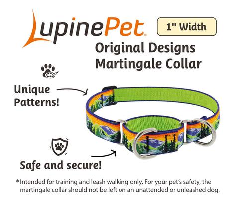 Show full view: LupinePet Nature Inspired Original Design Slip-on Adjustable Nylon Martingale Training Dog Collar, High Country, Large: 15 to 22-in neck, 1-in wide slide 2 of 6