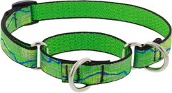 LupinePet Nature Inspired Original Design Slip-on Adjustable Nylon Martingale Training Dog Collar, Intervale, Medium: 14 to 20-in neck, 3/4-in wide