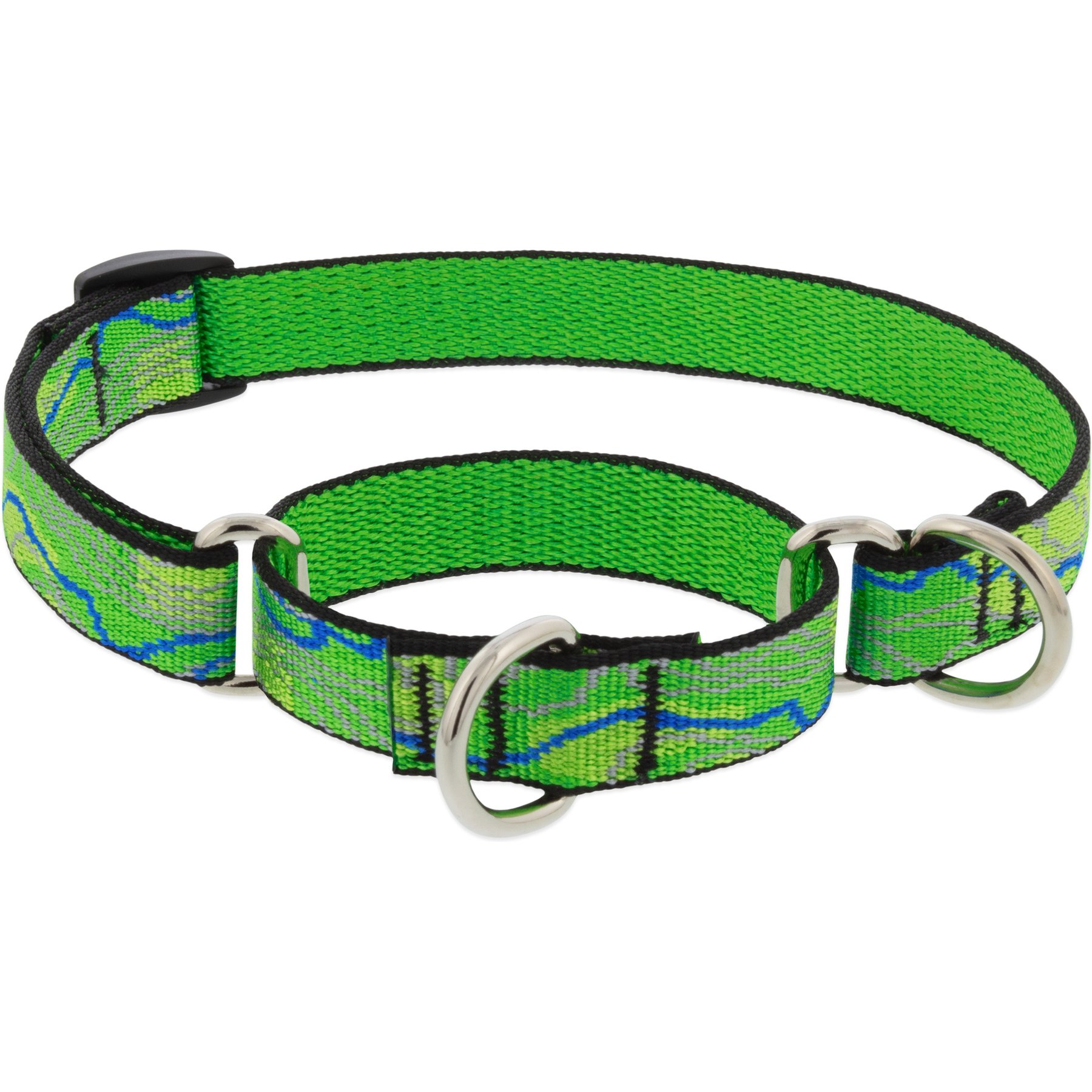 LupinePet Nature Inspired Original Design Slip-on Adjustable Nylon Martingale Training Dog Collar, Intervale, Small: 10 to 14-in neck, 3/4-in wide
