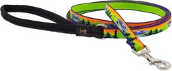 LupinePet Nature Inspired Original Design Padded Handle Nylon Small Dog & Cat Leash, High Country, Regular: 6-ft long, 1/2-in wide
