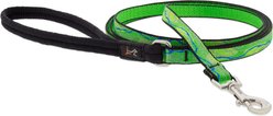 LupinePet Nature Inspired Original Design Padded Handle Nylon Small Dog & Cat Leash, Intervale, Regular: 4-ft long, 1/2-in wide