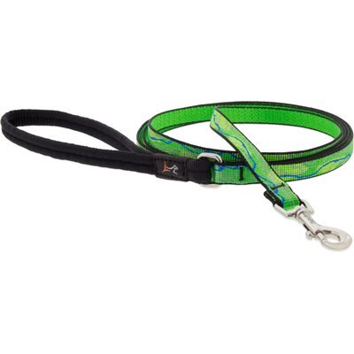 LupinePet LupinePet Nature Inspired Original Design Padded Handle Nylon Small Dog & Cat Leash, Intervale, Regular: 4-ft long, 1/2-in wide