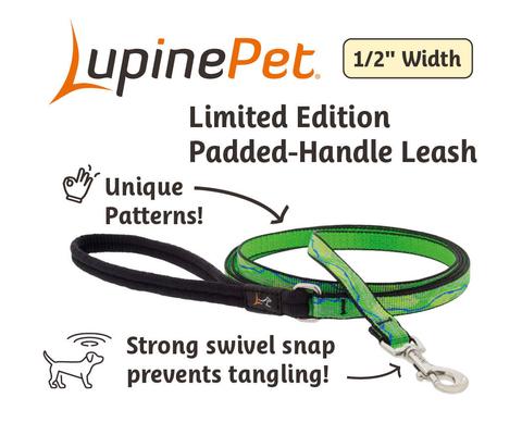 Show full view: LupinePet Nature Inspired Original Design Padded Handle Nylon Small Dog & Cat Leash, Intervale, Regular: 4-ft long, 1/2-in wide slide 2 of 5