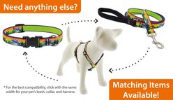 LupinePet Nature Inspired Original Design Slip-on Adjustable Nylon Martingale Training Dog Collar, High Country, Medium: 14 to 20-in neck, 3/4-in wide slide 2 of 6