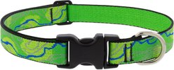 LupinePet Nature Inspired Original Design Adjustable Nylon Dog Collar, Intervale, Medium: 12 to 20-in neck, 1-in wide