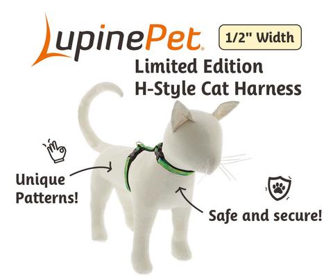 Show full view: LupinePet Nature Inspired Original Design H-Style Adjustable Nylon Cat Harness, Intervale, Medium/Large: 12 to 20-in chest slide 3 of 7