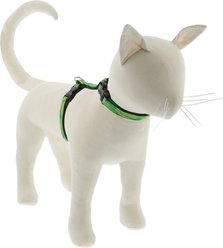 LupinePet Nature Inspired Original Design H-Style Adjustable Nylon Cat Harness, Intervale, Medium/Large: 12 to 20-in chest