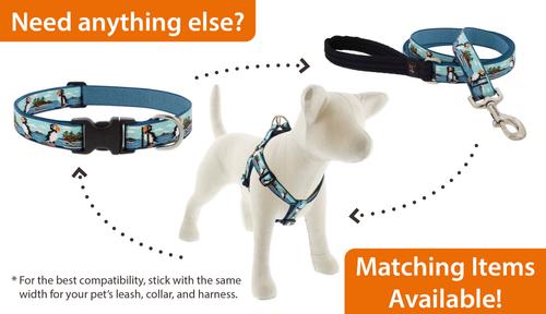 Show full view: LupinePet Nature Inspired Original Design Padded Handle Nylon Dog Leash, Puffins, Regular: 6-ft long, 1-in wide slide 5 of 6