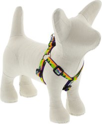 LupinePet Nature Inspired Original Design Step In Dog Harness, High Country, Small: 12 to 18-in chest