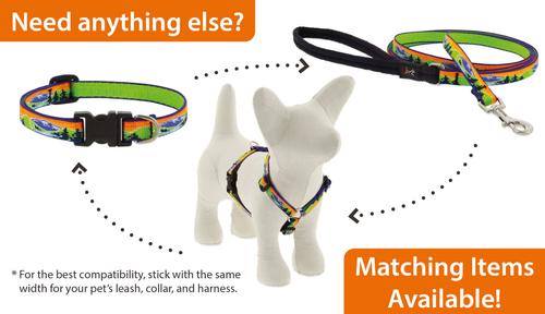 Show full view: LupinePet Nature Inspired Original Design Padded Handle Nylon Small Dog & Cat Leash, High Country, Regular: 6-ft long, 1/2-in wide slide 4 of 5