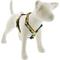 Show in main carousel: LupinePet Nature Inspired Original Design Adjustable Dog Harness, High Country, X-Large: 36 to 44-in chest slide 1 of 6