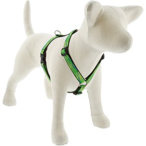 LupinePet Nature Inspired Original Design Adjustable Dog Harness, Intervale, Medium: 14 to 24-in chest