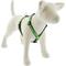 Show in main carousel: LupinePet Nature Inspired Original Design Adjustable Dog Harness, Intervale, Large: 20 to 32-in chest slide 1 of 6