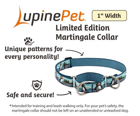 Show full view: LupinePet Nature Inspired Original Design Slip-on Adjustable Nylon Martingale Training Dog Collar, Puffins, X-Large: 19 to 27-in neck, 1-in wide slide 2 of 6
