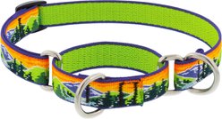 LupinePet Nature Inspired Original Design Slip-on Adjustable Nylon Martingale Training Dog Collar, High Country, Small: 10 to 14-in neck, 3/4-in wide