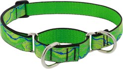 LupinePet Nature Inspired Original Design Slip-on Adjustable Nylon Martingale Training Dog Collar, Intervale, Large: 15 to 22-in neck, 1-in wide