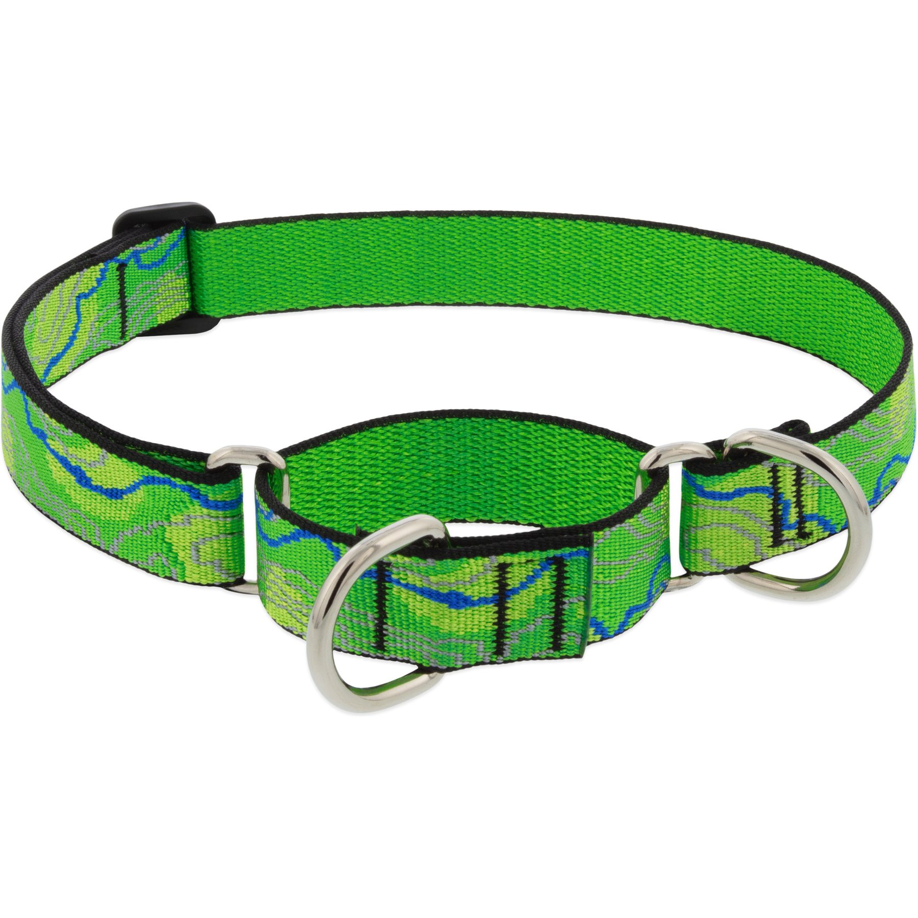 LupinePet Nature Inspired Original Design Slip-on Adjustable Nylon Martingale Training Dog Collar, Intervale, Large: 15 to 22-in neck, 1-in wide