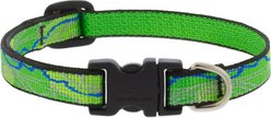 LupinePet Nature Inspired Original Design Adjustable Nylon Dog Collar, Intervale, Small: 10 to 16-in neck, 1/2-in wide