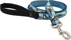 LupinePet Nature Inspired Original Design Padded Handle Nylon Dog Leash, Puffins, Regular: 6-ft long, 1-in wide
