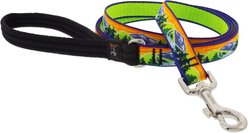 LupinePet Nature Inspired Original Design Padded Handle Nylon Dog Leash, High Country, Regular: 6-ft long, 3/4-in wide
