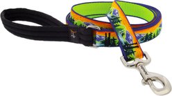 LupinePet Nature Inspired Original Design Padded Handle Nylon Dog Leash, High Country, Regular: 6-ft long, 1-in wide