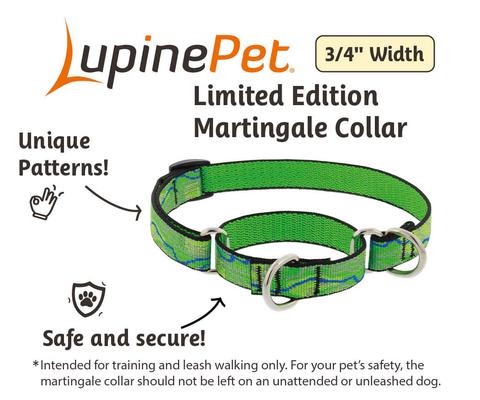 Show full view: LupinePet Nature Inspired Original Design Slip-on Adjustable Nylon Martingale Training Dog Collar, Intervale, Medium: 14 to 20-in neck, 3/4-in wide slide 3 of 7