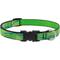 Show in main carousel: LupinePet Nature Inspired Original Design Adjustable Nylon Dog Collar, Intervale, Small: 9 to 14-in neck, 3/4-in wide slide 1 of 7