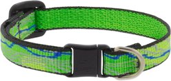 LupinePet Nature Inspired Original Design Safety Buckle Nylon Adjustable Breakaway Cat Collar, 8 to 12-in neck, 1/2-in wide, Intervale