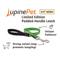 Show in main carousel: LupinePet Nature Inspired Original Design Padded Handle Nylon Dog Leash, Intervale, Short: 2-ft long, 3/4-in wide slide 2 of 5